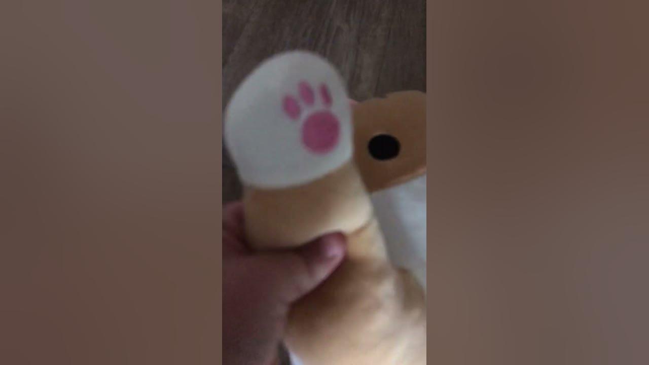 #котбатон - YouTube