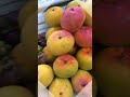 Fruit &amp; Hat Stalls at Han Market, Da Nang 🍍👒 | Vietnam Street Market Vibes