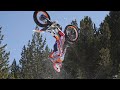 Toni bou 2024  the trial king 