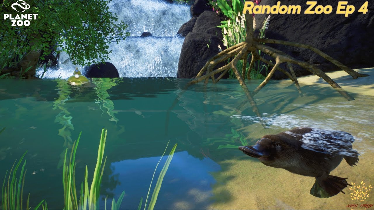 Planet Zoo - Random Zoo 4 - Return of the Platypi - YouTube