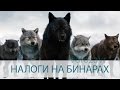 Налоги на бинарных опционах