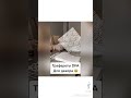 Трафареты DFA