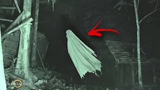 5 Videos de Terror REAL Para No Ver Solo / Parte 7 / Fantasmas y Criaturas Captados en 2026
