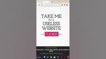Useless Websites on the internet 😅 #tech #uselesswebsites #bored #randomwebsites #website