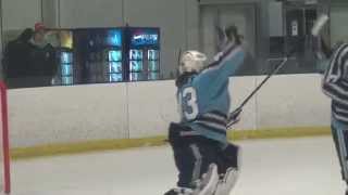 USPHL Playoffs Kings-Hitmen Semifinals Game 2 Highlights, March 7, 2015