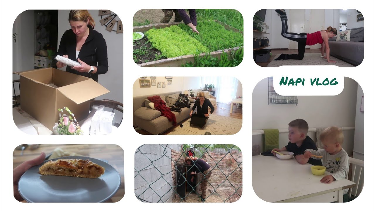 Napi vlog