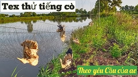 Tiếng cò lép cò lửa