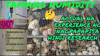 ANO ANG TAMANG HUMIDITY NG INCUBATOR/WHAT IS THE BEST HUMIDITY IN INCUBATING CHICKEN EGGS#incubator