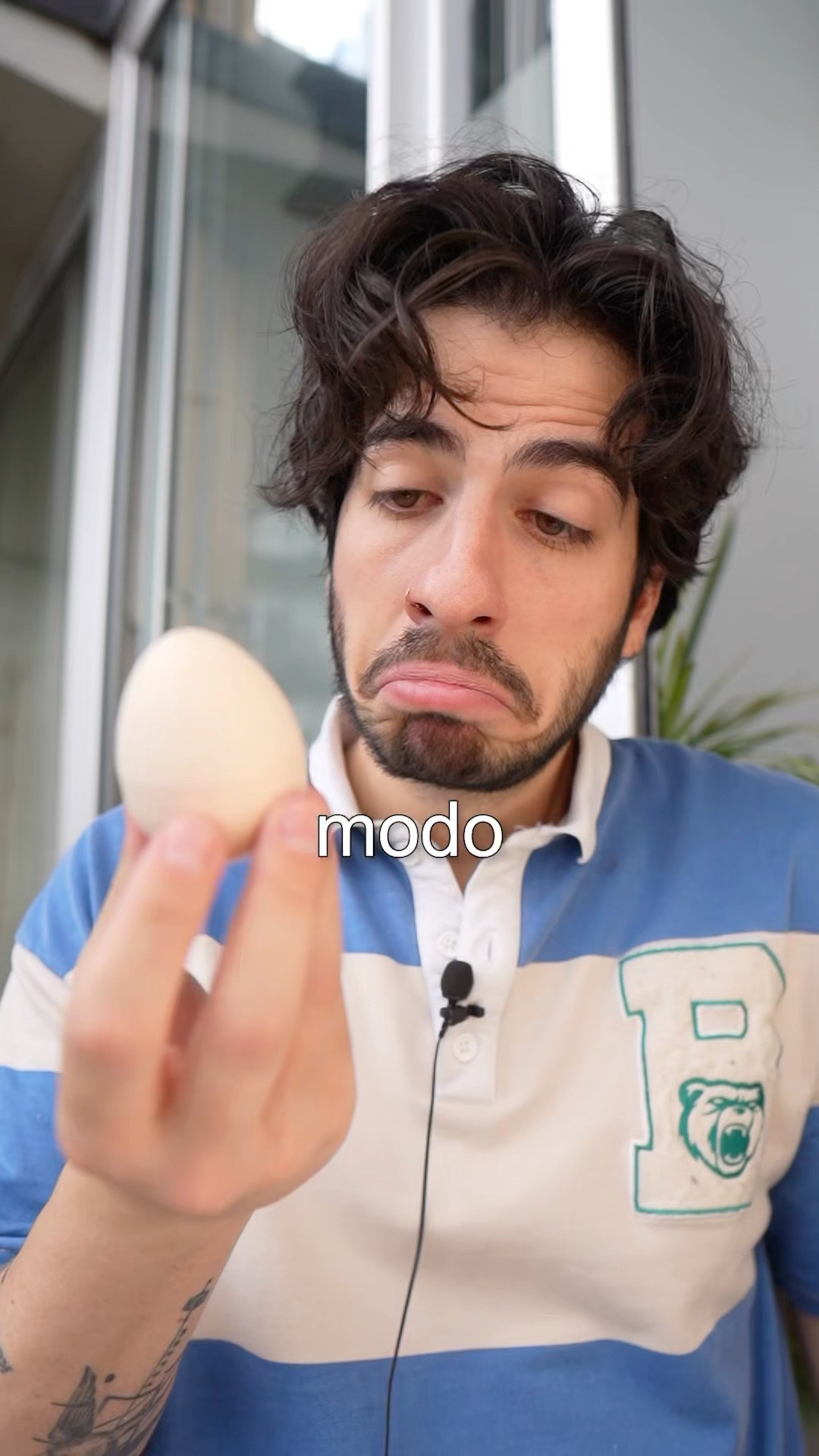 El huevo misterioso.
