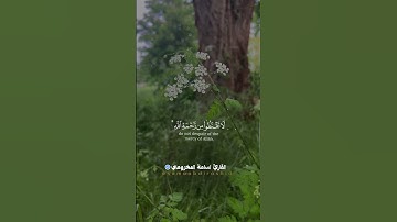 "ألا بذكر الله تطمئن القلوب" #قرآن #اكسبلور #المصحف #quran #تلاوة_خاشعة