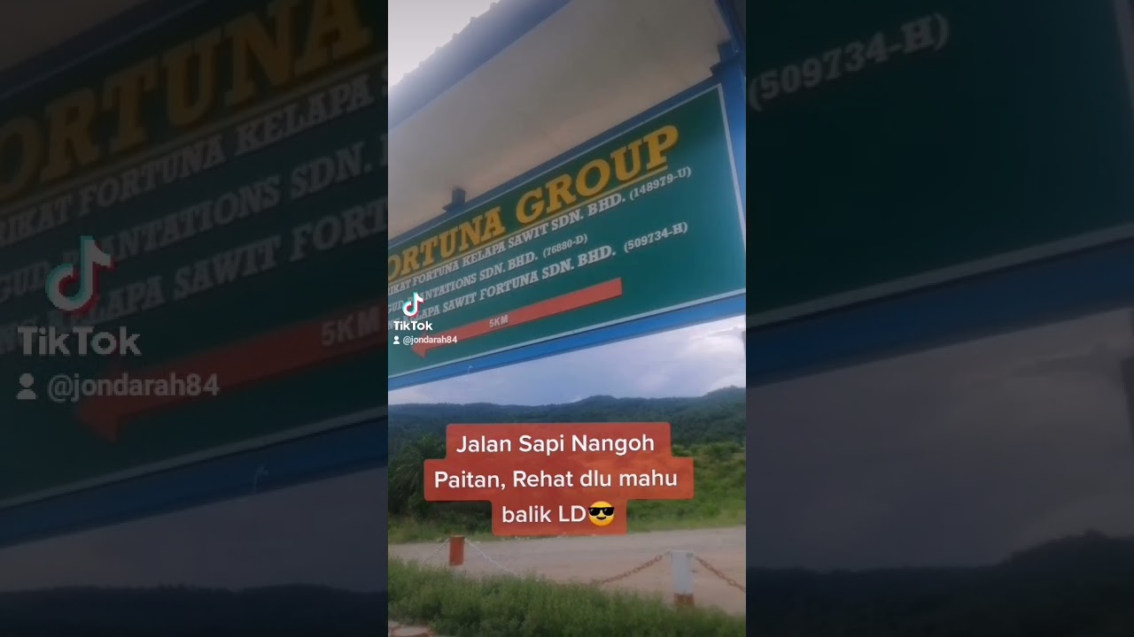 short Jalan Sapi Nangoh Beluran Sandakan YouTube