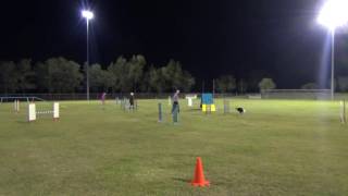 Snap - Elementary Agility