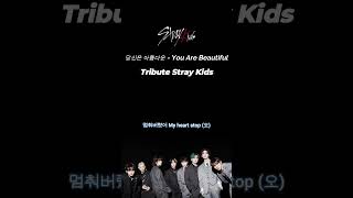 ⚡Stray Kids - 당신은 아름다운 You Are Beautiful | (스트레이 키즈) Tribute Music by ERIOND #straykids
