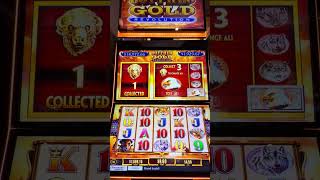 #gvrcasino #casino #buffaloslots #slots #winning