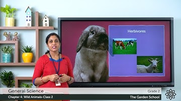 Grade 2 General Science Chapter 4 Class 2 Food habits of animals