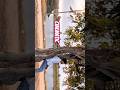 CapCut Cinematic Edit / Short Video #foryou #cinematic #feedshorts #shorts #explore