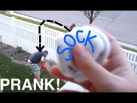 fun-neighbor-pranks-|-prank-video-|-funny-pranks-|-dyches-fam