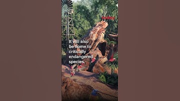 Sneak peek of what Singapore’s new bird park will look like