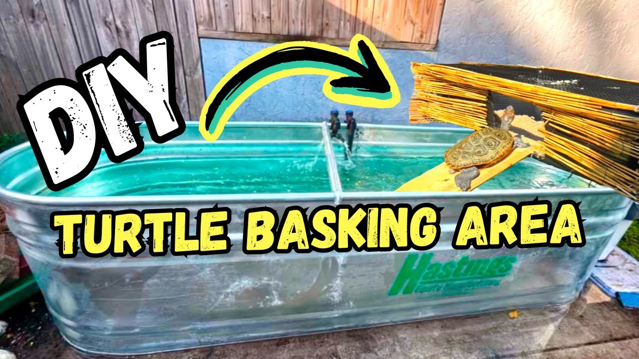 DIY TURTLE BASKING AREA!!! (Made From A Cement Mixing Tub!)