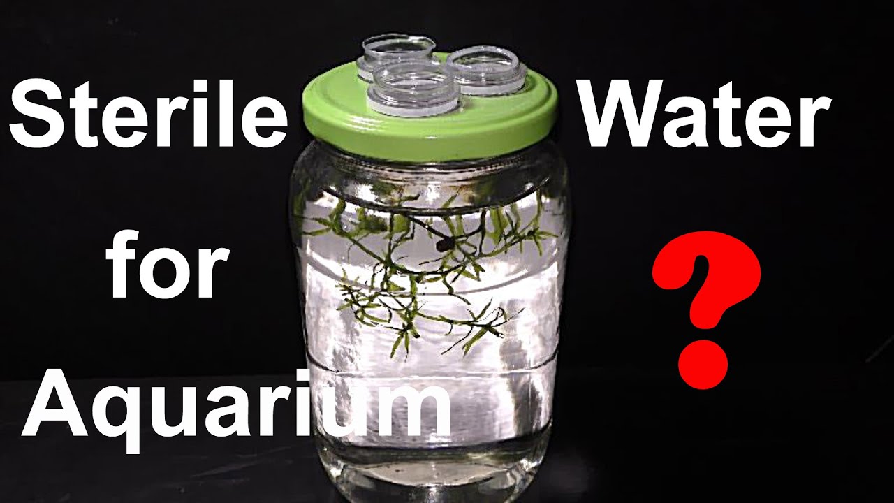 Can we use Sterile Water for aquariums