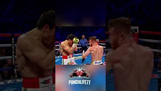 canelo alvarez vs chavez jr