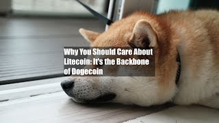 Why You Should Care About Litecoin: Its the Backbone of Dogecoin
