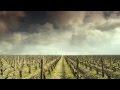 映画『世界一美しいボルドーの秘密』予告編