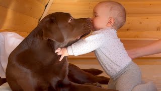 Cutest morning kiss ever! Watch heartwarming wake up call between my baby and my dog