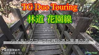 千葉県 林道花園線 花嫁街道と黒滝の道 TG Duo Touring 2026年4月11日 南房総市 #serow #tricker #forestroad #房総半島