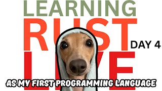 day 4 on learning rust with rust bible  (ep. 4) | sinhala