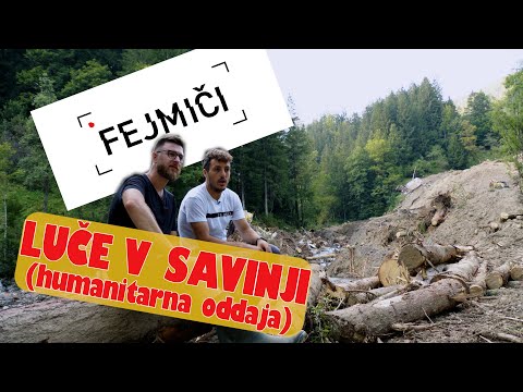 Video: Katere palme lahko živijo v Severni Karolini?