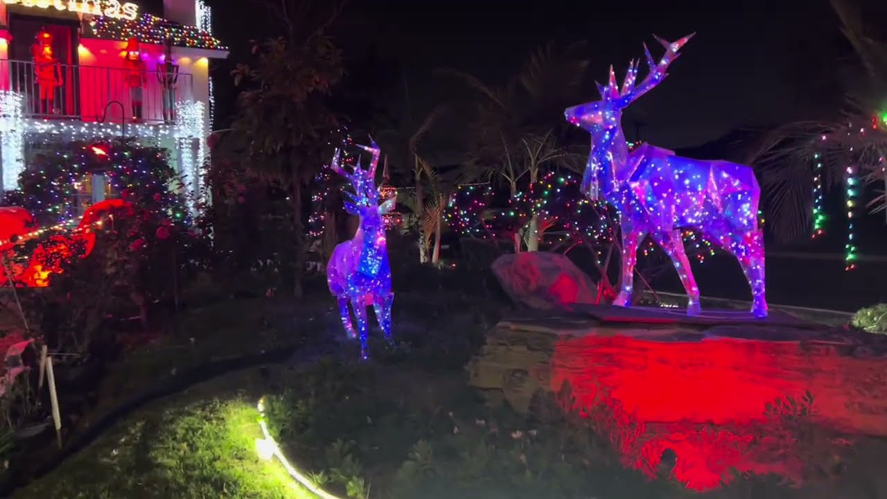 Check out Lakewood Holiday Home Decorations