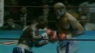 WOW!! WHAT A KNOCKOUT | George Foreman vs Mark Young, Full HD Highlights