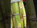 How fresh sugarcane juice is made 🤯