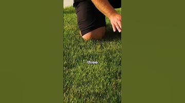 How High Should You Mow?