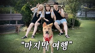 이 여행이 마지막이 될줄은 몰랐습니다.. [예씨 yessii]