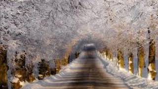 1727 A Romantic Winter Ballad 60 Bpm Acoustic Cello Pizz & Arco Solo