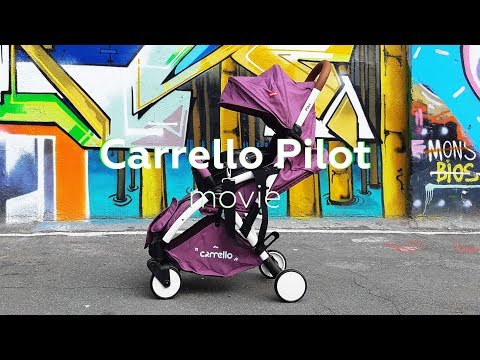 Прогулочная коляска Carrello Pilot CRL-1418
