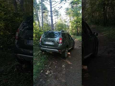 Dacia Duster, top