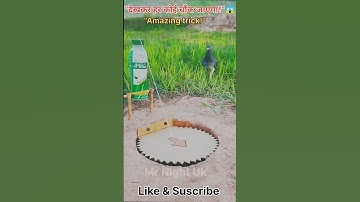 "Genius Bird Trap You’ve Never Seen Before! 🐦 #shorts"