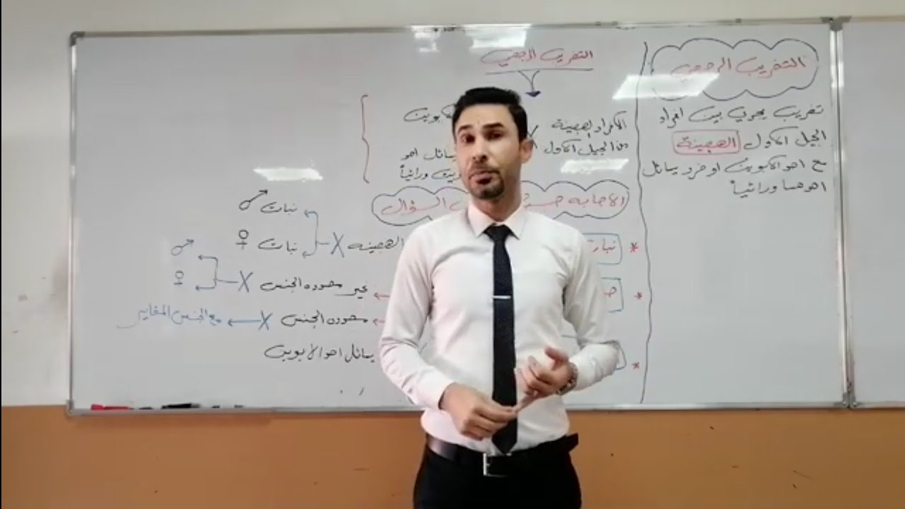 التضريب الرجعي الجزء الاول