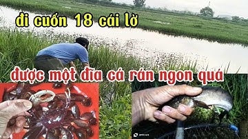 Đi cuốn 18 cái lờ về, được bữa cá rán ngon 