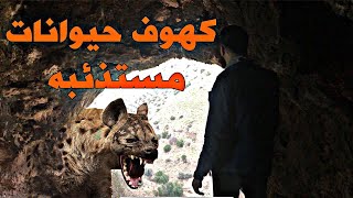 كهوف حيوانات مستذئبه - Caves of predatory animals