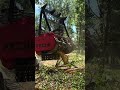 Shredding trees for days - 120HP 45GPM with carbides