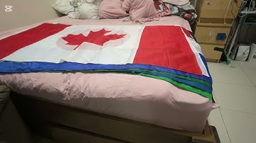 My 3x5 Flag Collection (Most viewed video in my channel)