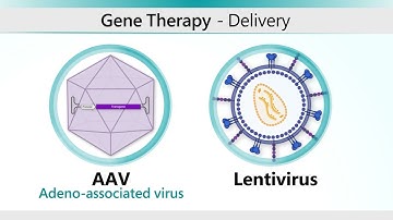 Hemophilia AAV Gene Therapy Animation