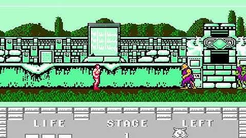 Juuouki Japan Translated  HYPERSPIN NINTENDO NES N E S  NOT MINE VIDEOSEn