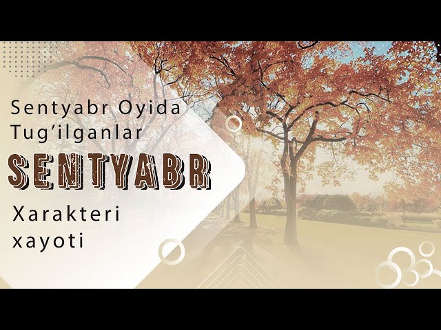 Lezbiyen trening behayo uchun porno Men dugonamni mushukimni yalashga kondirdim.