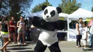 THE PANDA EXPRESS PANDA DROPS IT LIKE IT'S HOT / DCH TOYOTA OF OXNARD