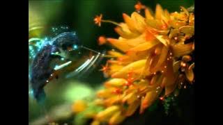 Download lagu Owl City - How Deep the Father's Love for Us - Adam Young